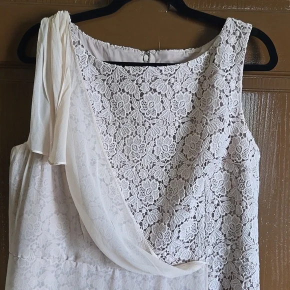 Ann Taylor-Beige lace sheath dress with chiffon overlay on right side Sz 16P - Picture 2 of 8